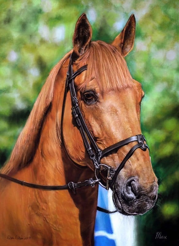 chestnut horse portrait in pastel