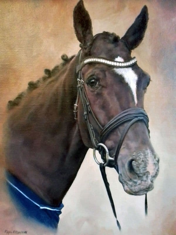 Dark bay horse portrait in oils