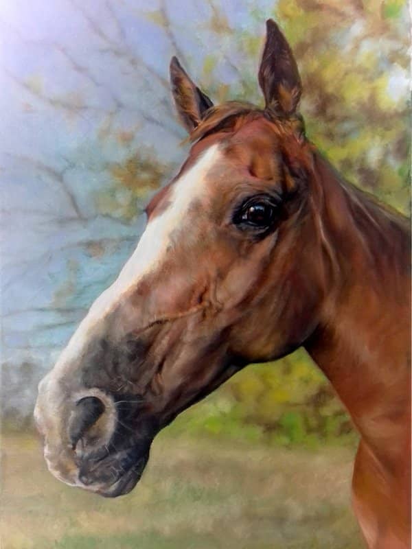 Chestnut horse portrait in oils