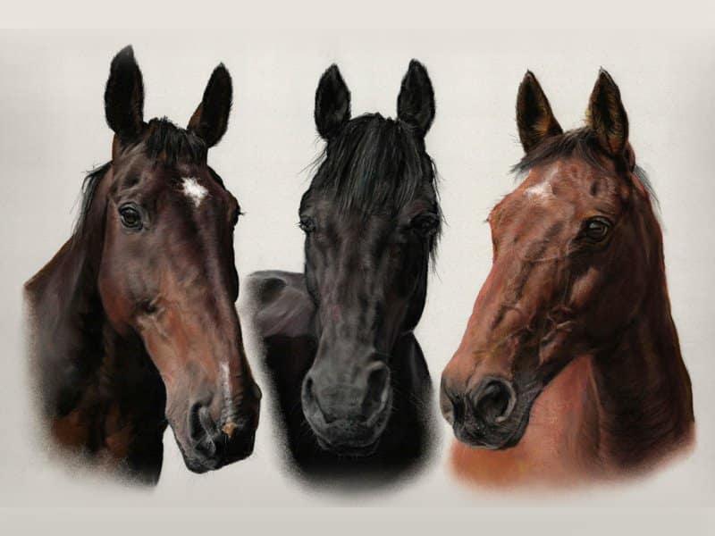 Horse triple portrait in pastel