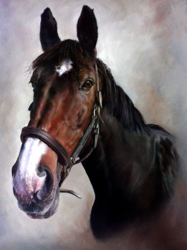 Bay horse portrait in oils