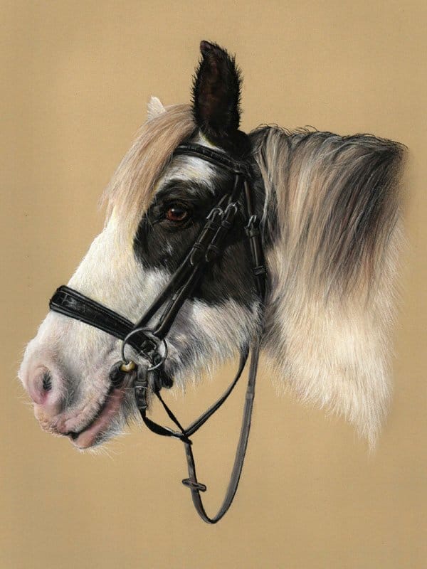 Horse portrait painted in pastel