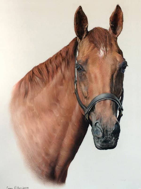 Chestnut horse portrait in pastel