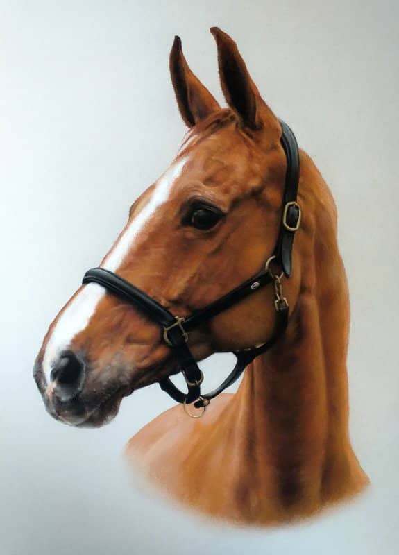 Chestnut horse portrait in pastel by UK pet artist Pippa Elton
