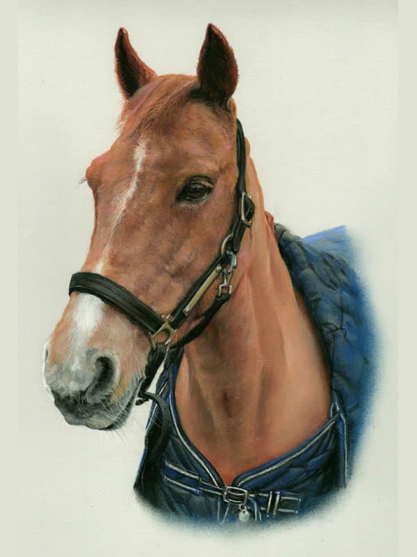 Chestnut horse portrait in pastel