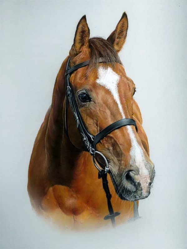 Bay horse portrait in pastel