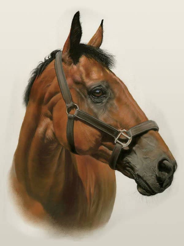 Bay horse portrait in pastel