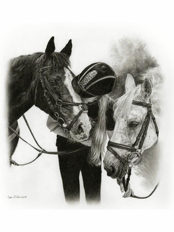 Horse portrait in pencil by UK pet artist Pippa Elton
