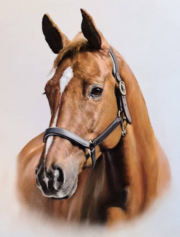 Bay horse portrait painting by UK pat artist Pippa Elton