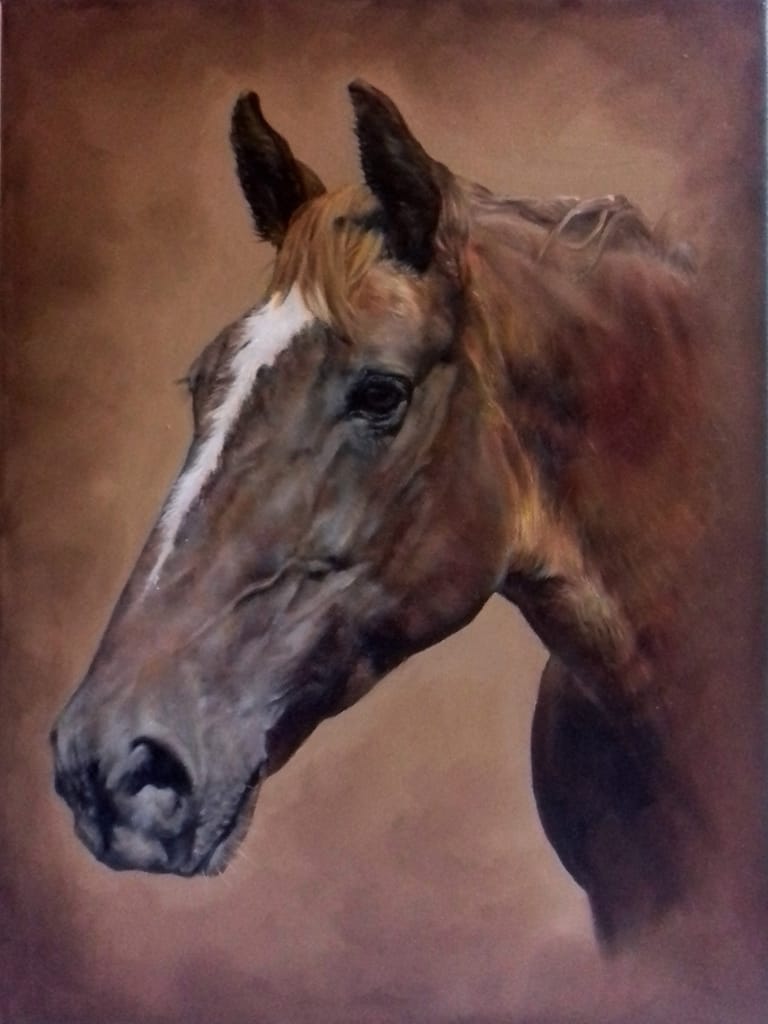Horse portrait in oils by UK pet artist Pippa Elton