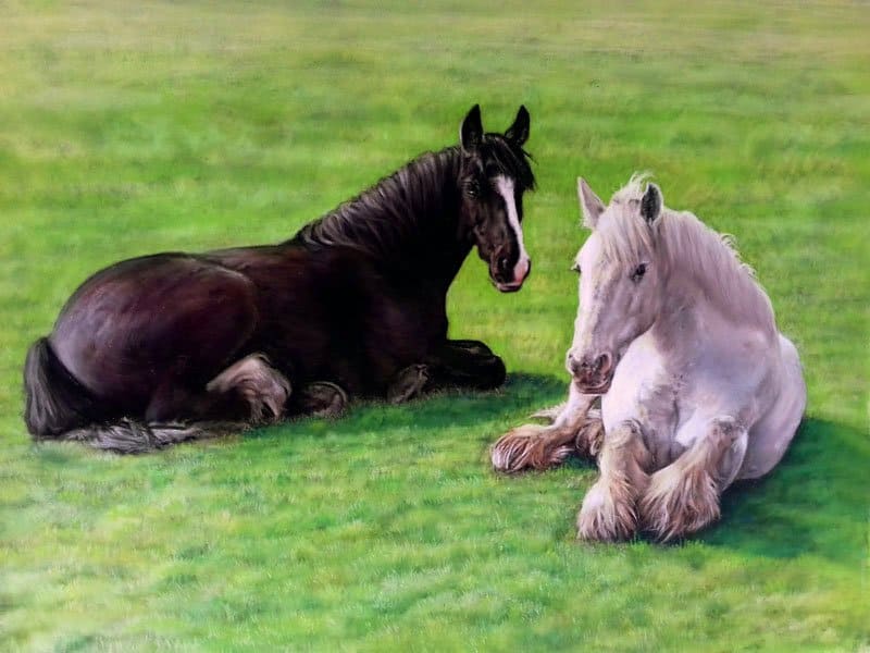 Double horse portrait in pastel by UK pet artist Pippa Elton