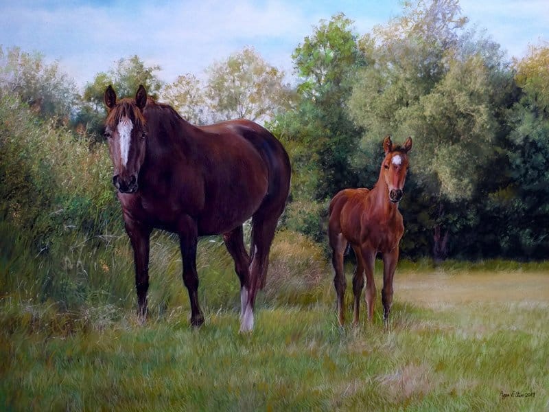 Horse and foal portrait in pastel