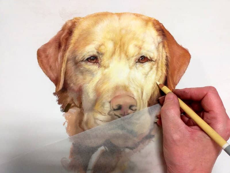 artist painting a dog portrait